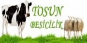 TOSUN BESİCİLİK - Firmasec.com.tr 