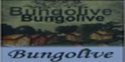 Bungolive - Firmasec.com.tr 